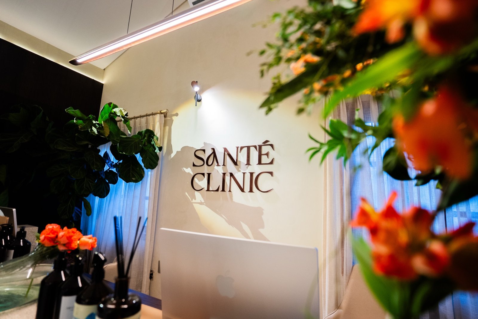Ambiente da Santé Clinic